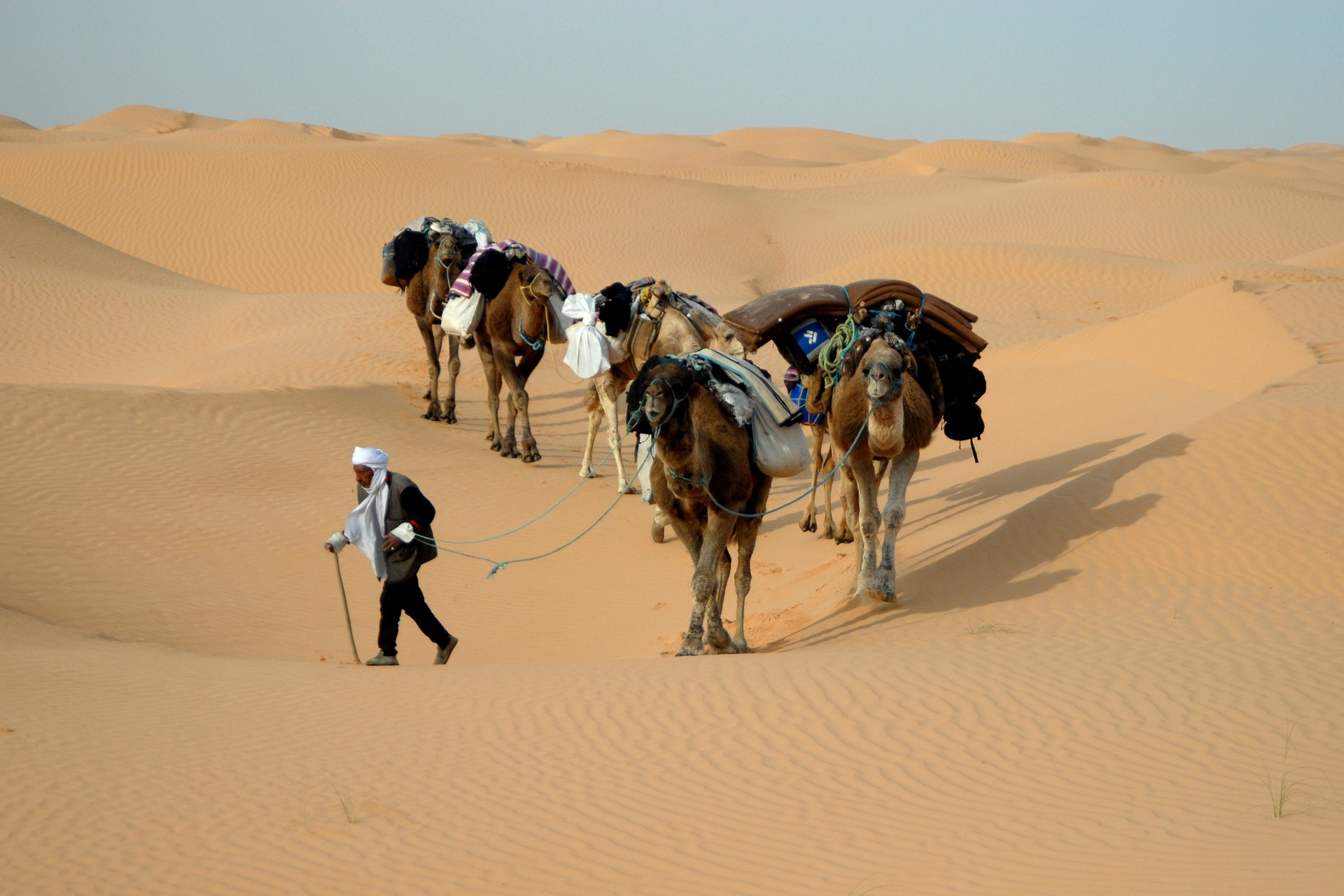 Kameelkaravaan woestijn Sahara Tunesië